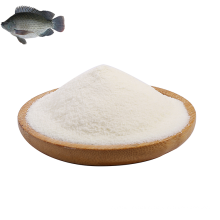 Food Grade Anti Aging Fish Collagen Peptide
